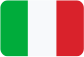 IN-Consulting Italiano